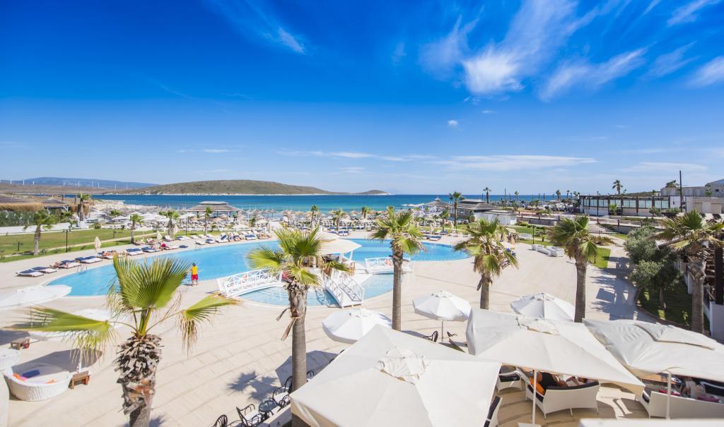 Cocos The Club Solto — 1