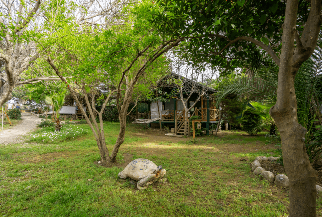 Etenna Beach Bungalow — 4