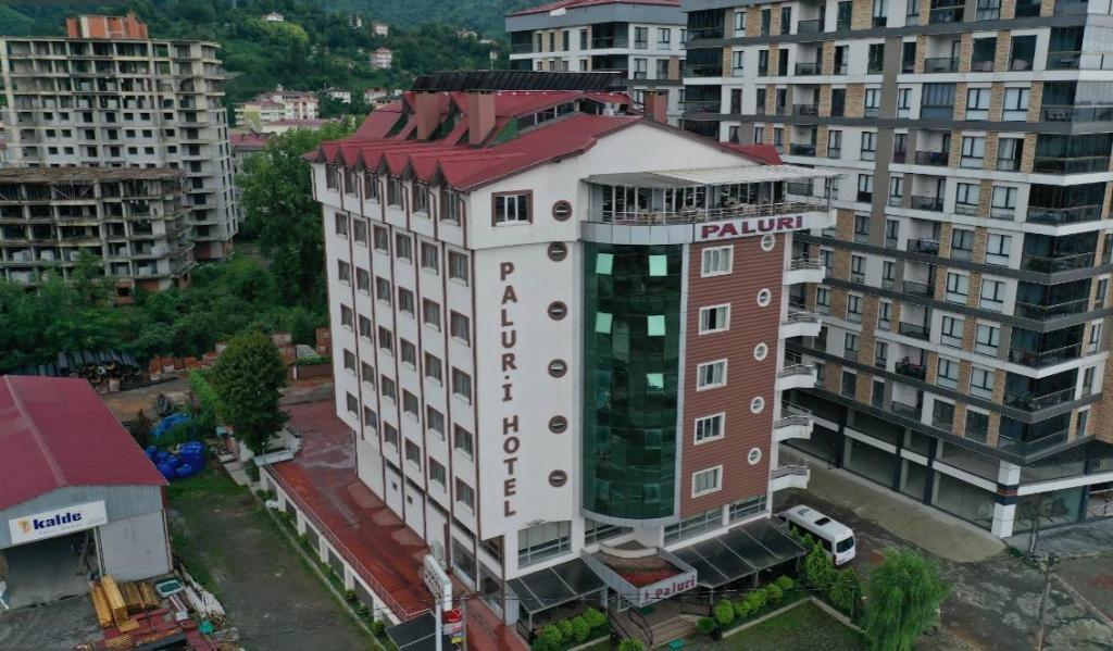 Otel Paluri — 1