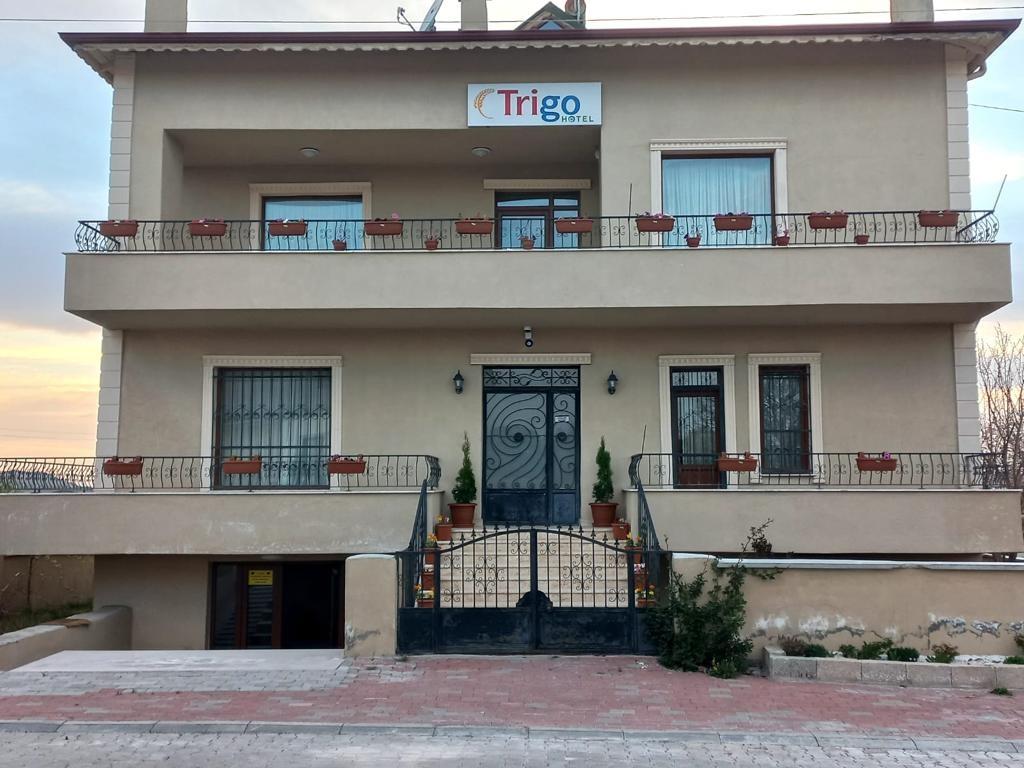 Trigo Hotel — 1