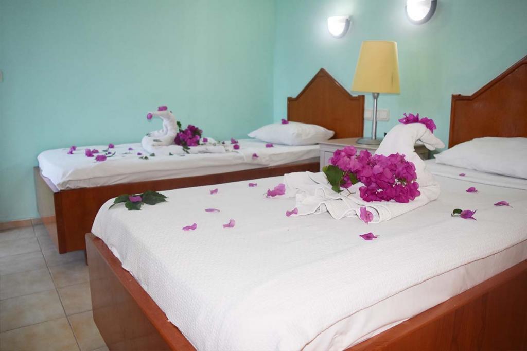 Ares City Hotel — 8