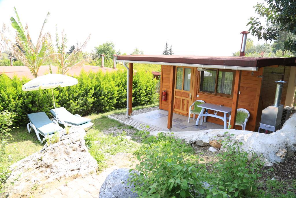 Villa Zeytin Çıralı — 1