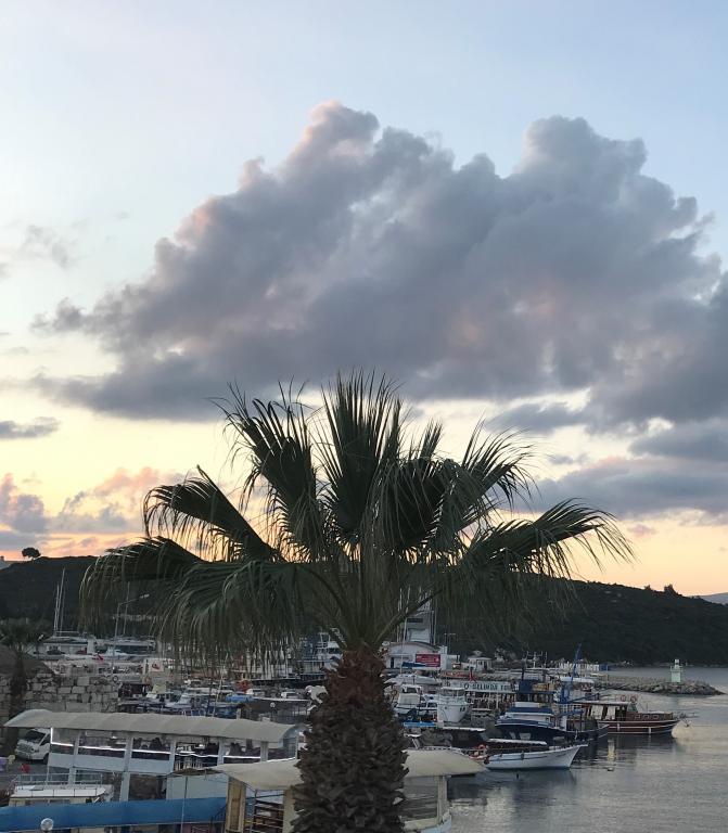 Silenos Boutique Hotel — 1