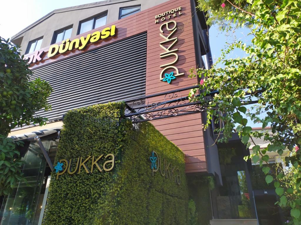 Pukka Hotel — 1