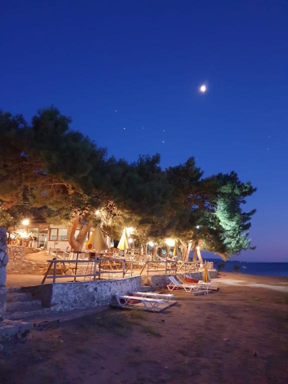 Agora Tatil Durağı — 1