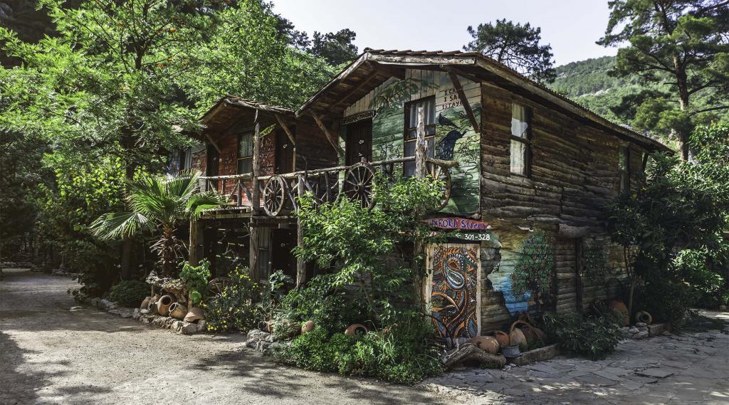 Kadir's Tree Houses — 1