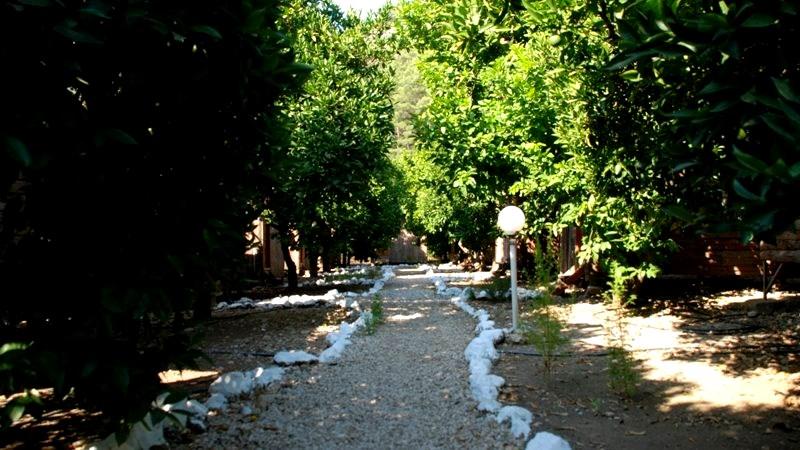 Alaturka Pansiyon — 2