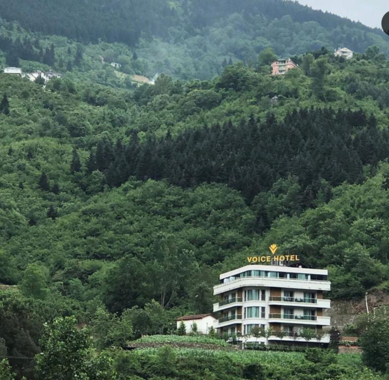 Voice Hotel — 1
