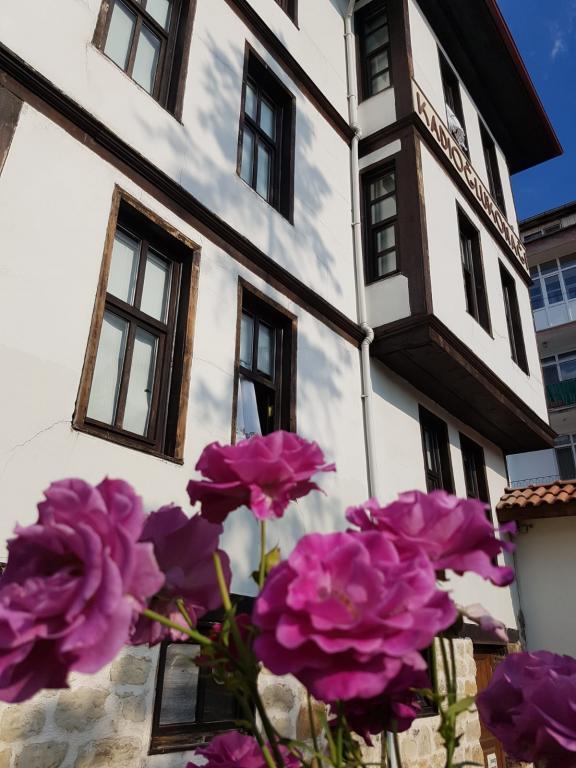 Kastamonu Kadıoğlu Konak — 9