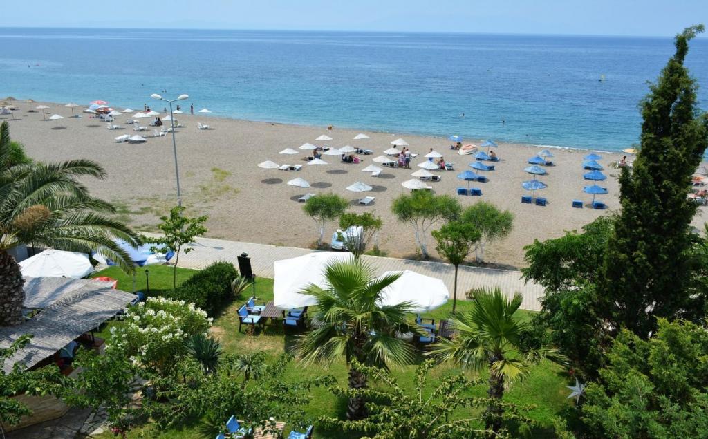 Palmiye Otel Özdere — 1