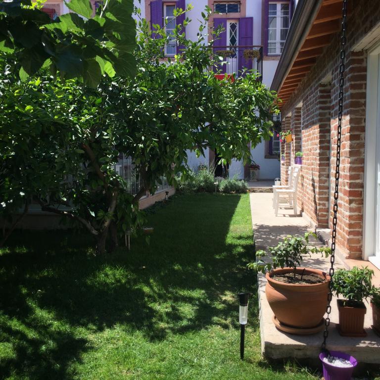 Lavanta Cunda +12 Adult Only — 1
