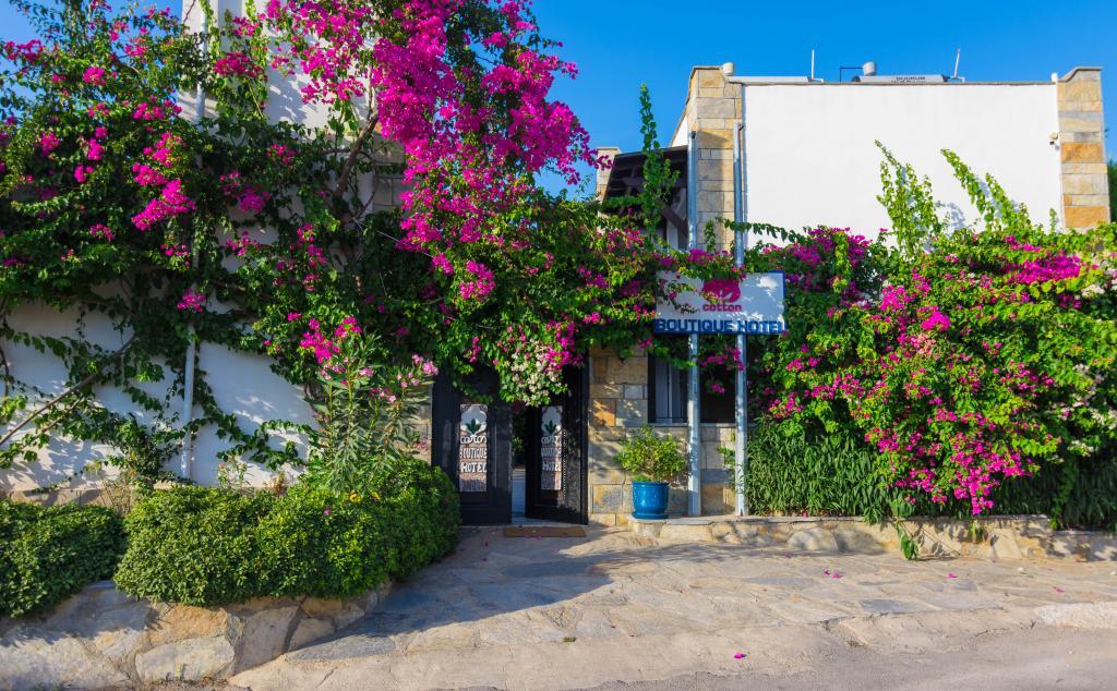 Cotton Boutique Hotel — 1