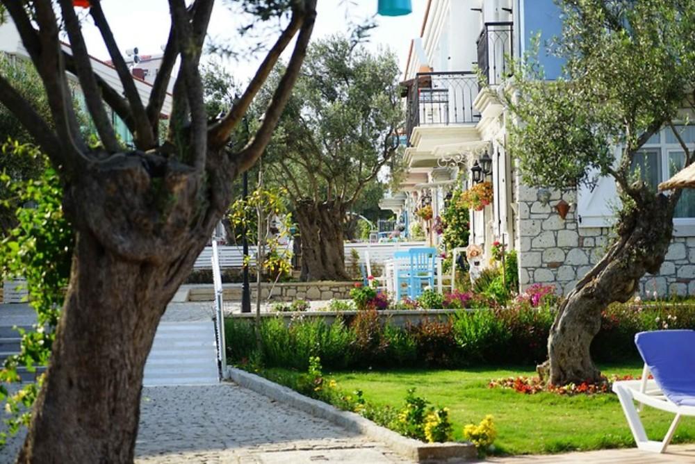 Zeytin Arası Taş Evler — 8