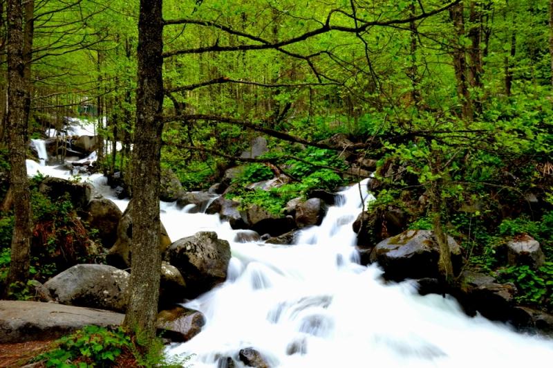 Kardelen Pansiyon — 5
