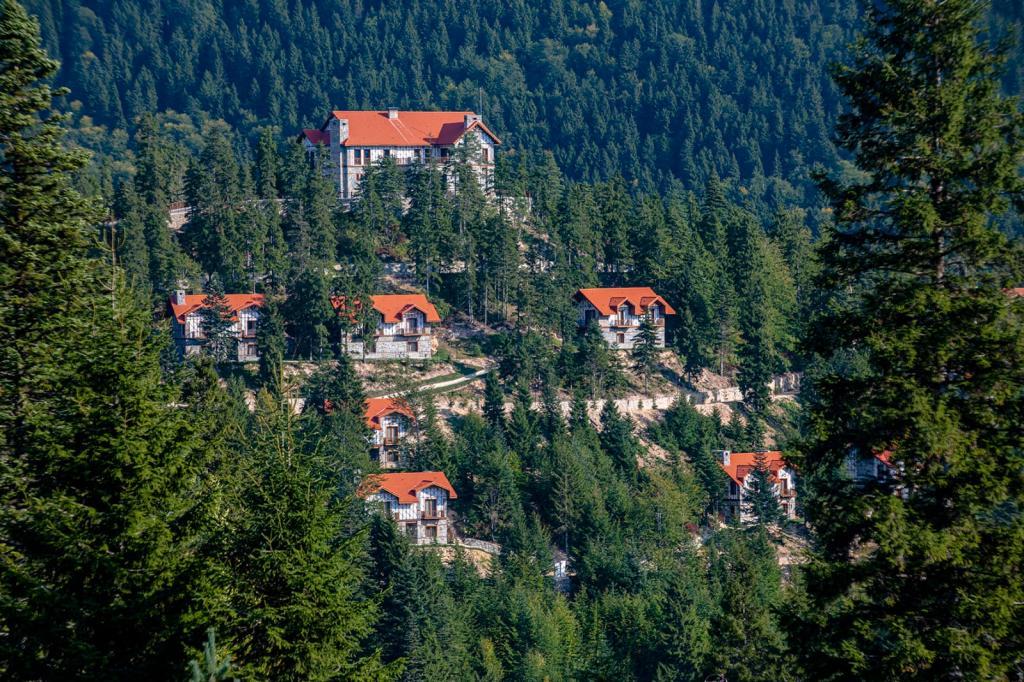 Foleya Mountain Resort — 8