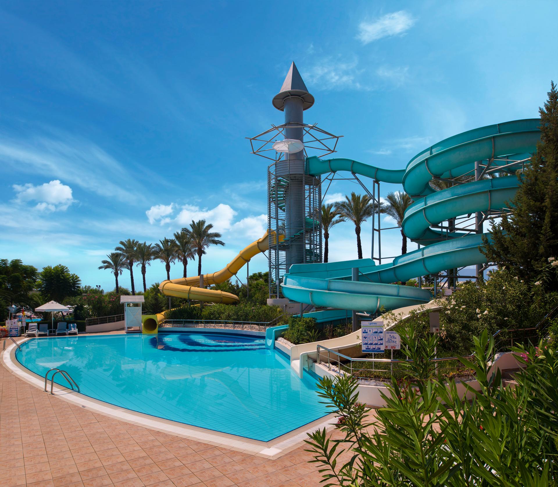 Delphin Diva — 5
