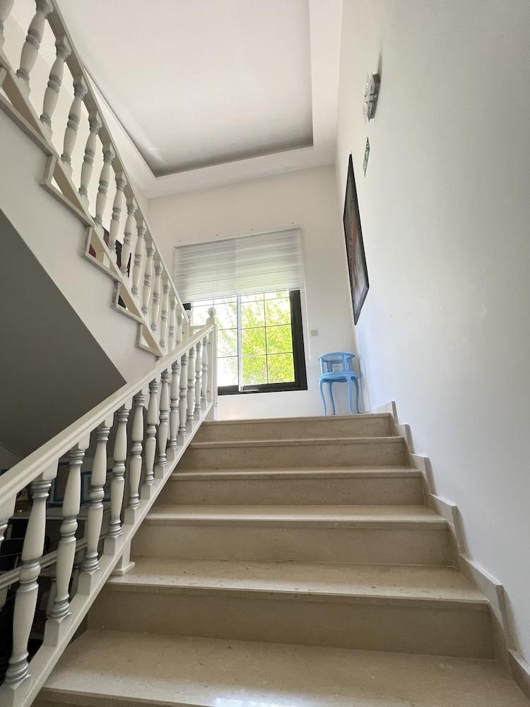 Dalyan Risus Suite