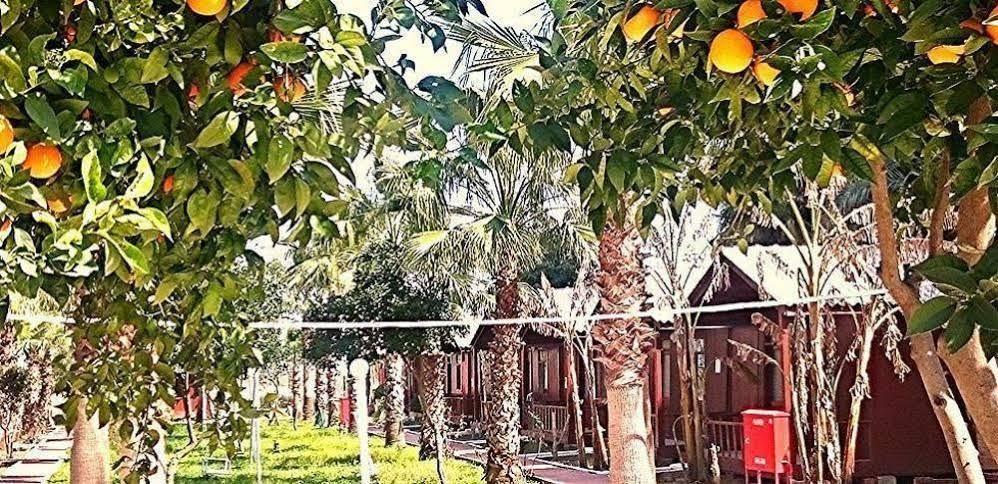 AslanPark Bungalow Hotel — 1
