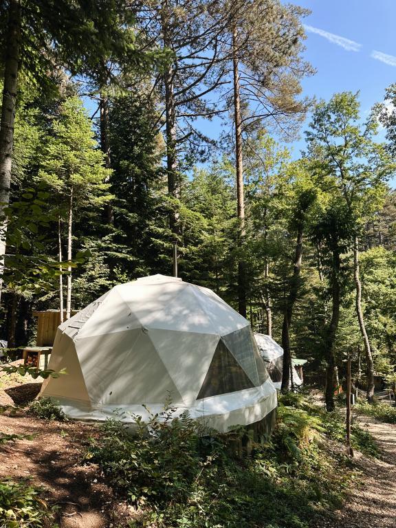 Ala Glamping — 2