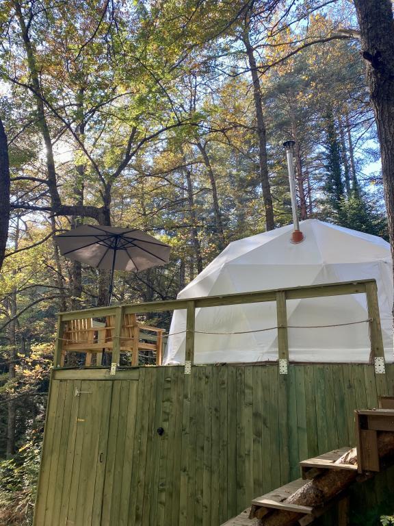 Ala Glamping — 6