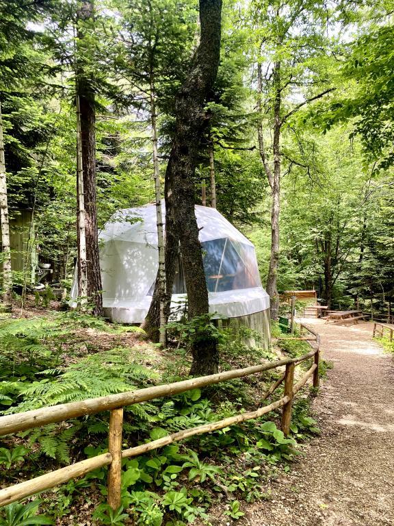 Ala Glamping — 8