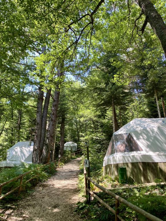 Ala Glamping — 9