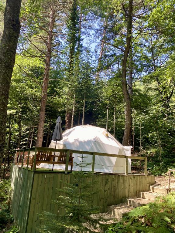 Ala Glamping — 10