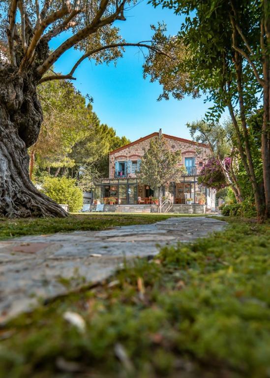 Alaçatı Zeytin Konak Hotel — 3
