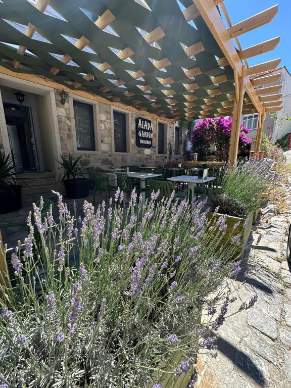 Alada Garden Bozcaada — 1