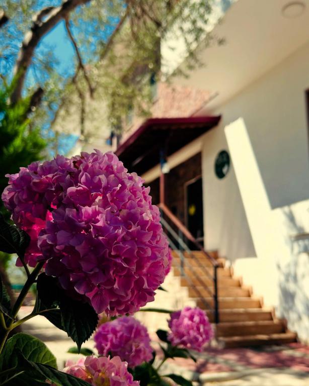 Beyaz Konak Güre — 2