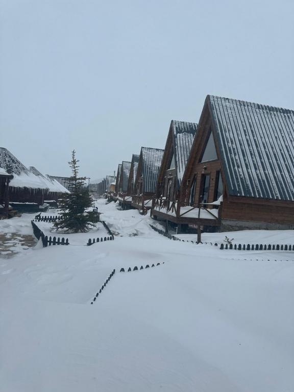 By Life Resorts Hotel — 3