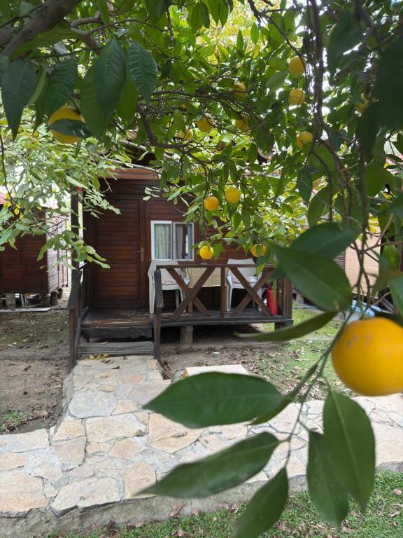 Can Otel Urla — 7