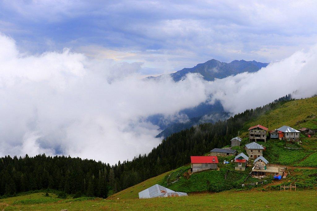 CELAZENİ BUNGALOV