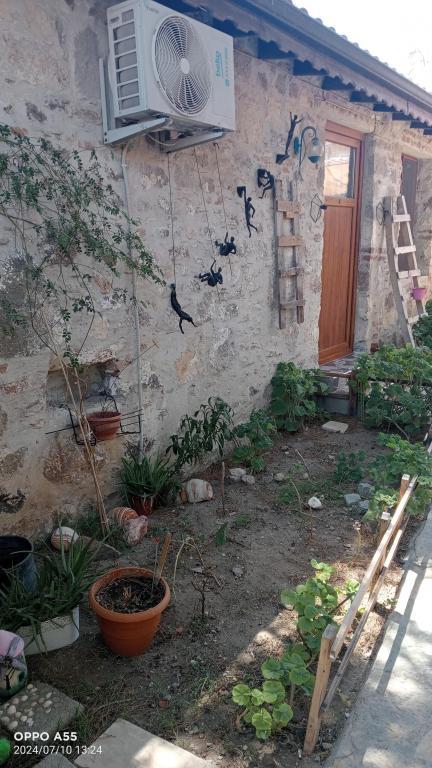 Denizkızı Sevilay Pansiyon — 3