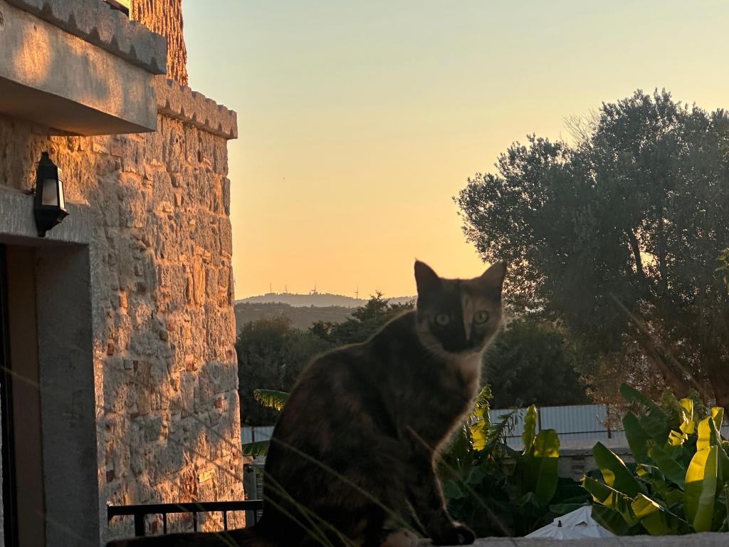 Elia Hotel Çeşme — 10