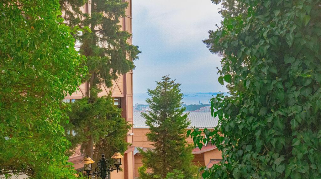 Elite Marmara Bosphorus Çamlıca — 9