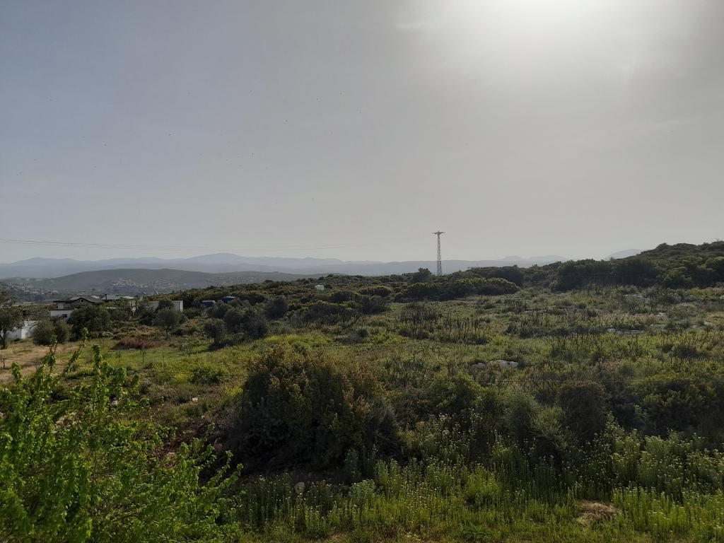 Huzur Otel Sığacık — 8