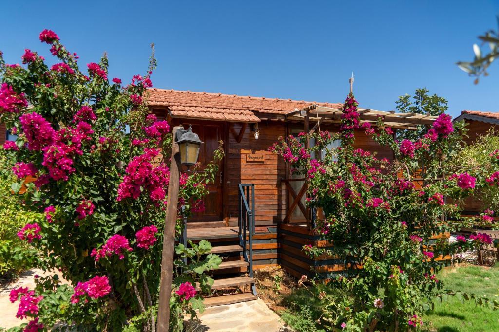 Habesa Bungalow — 2