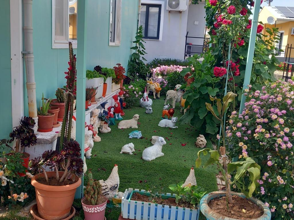 Happy Life Houses Seferihisar — 7
