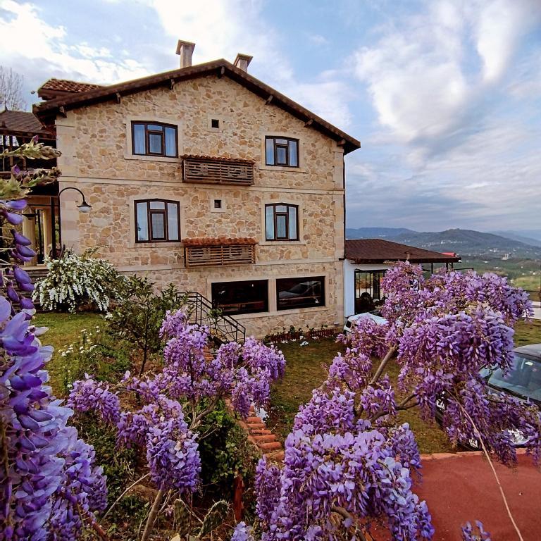 Hayat Oksijen Resort — 10