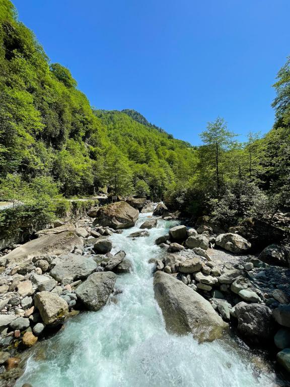 Kamilet Pansiyon — 6
