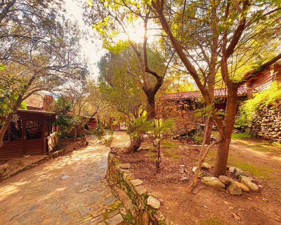 Kybele Nature Life — 2