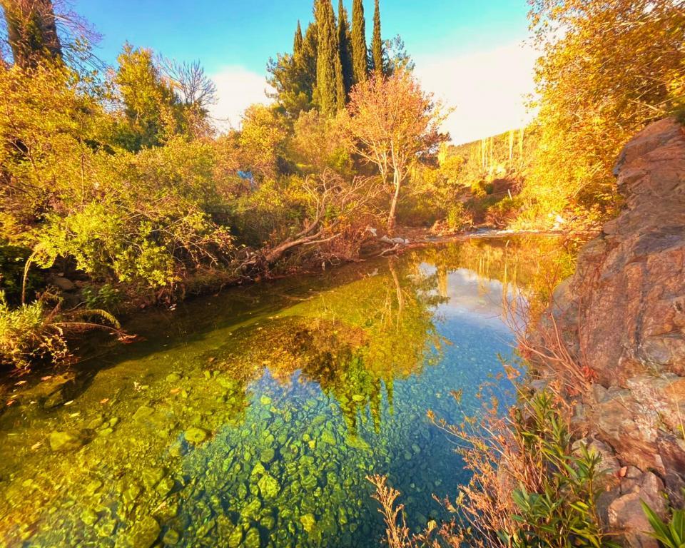 Kybele Nature Life — 5
