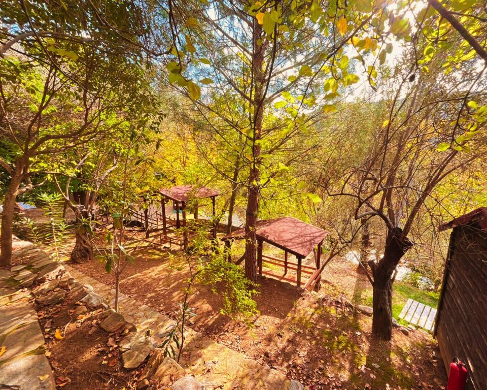 Kybele Nature Life — 8