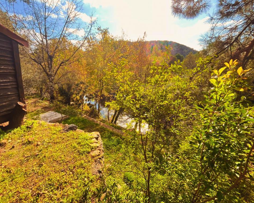 Kybele Nature Life — 9
