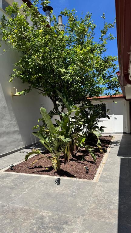 La Berca Boutique Hotel Alaçatı — 8