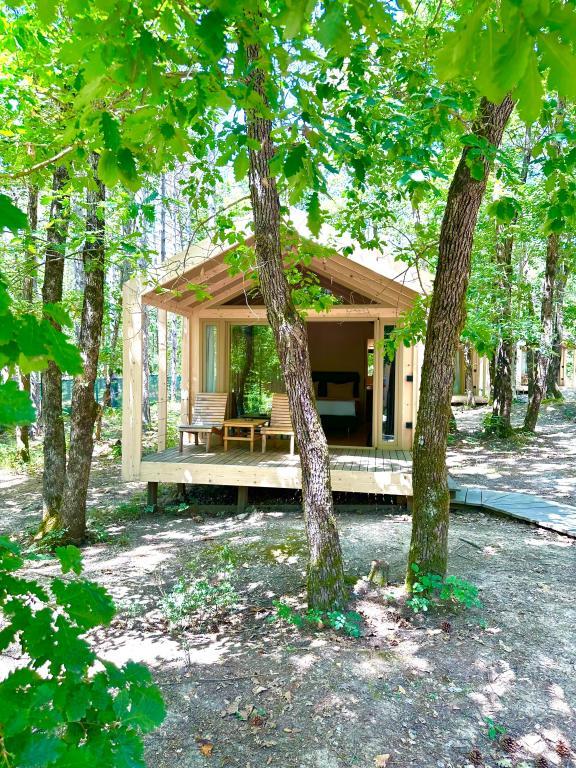 Longosphere Glamping — 4