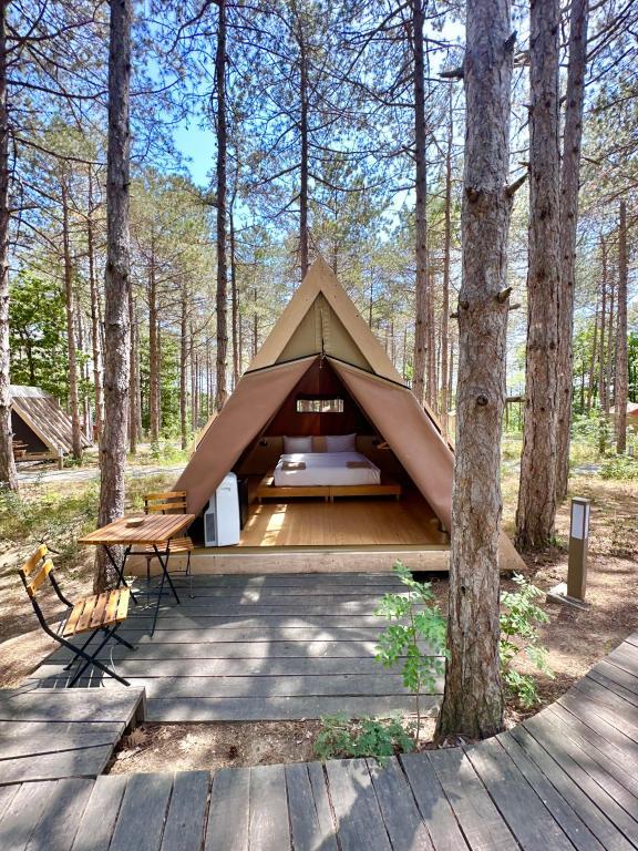 Longosphere Glamping — 10