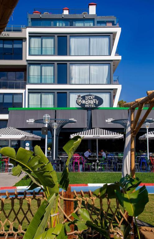 Lucky Monkey Hotel — 1