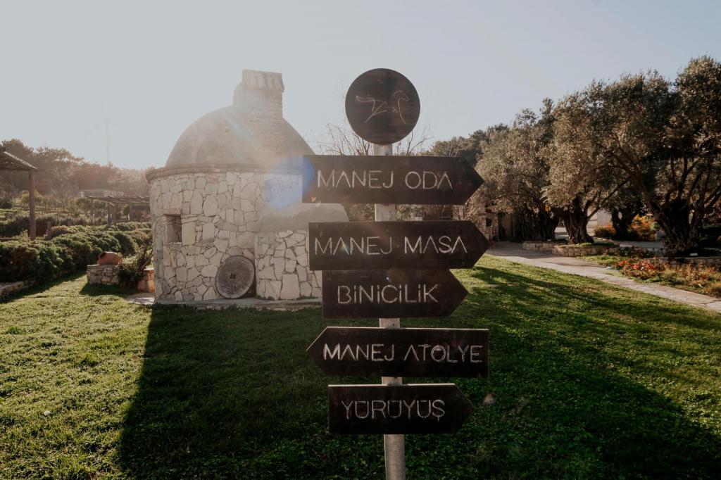 Manej Urla — 1